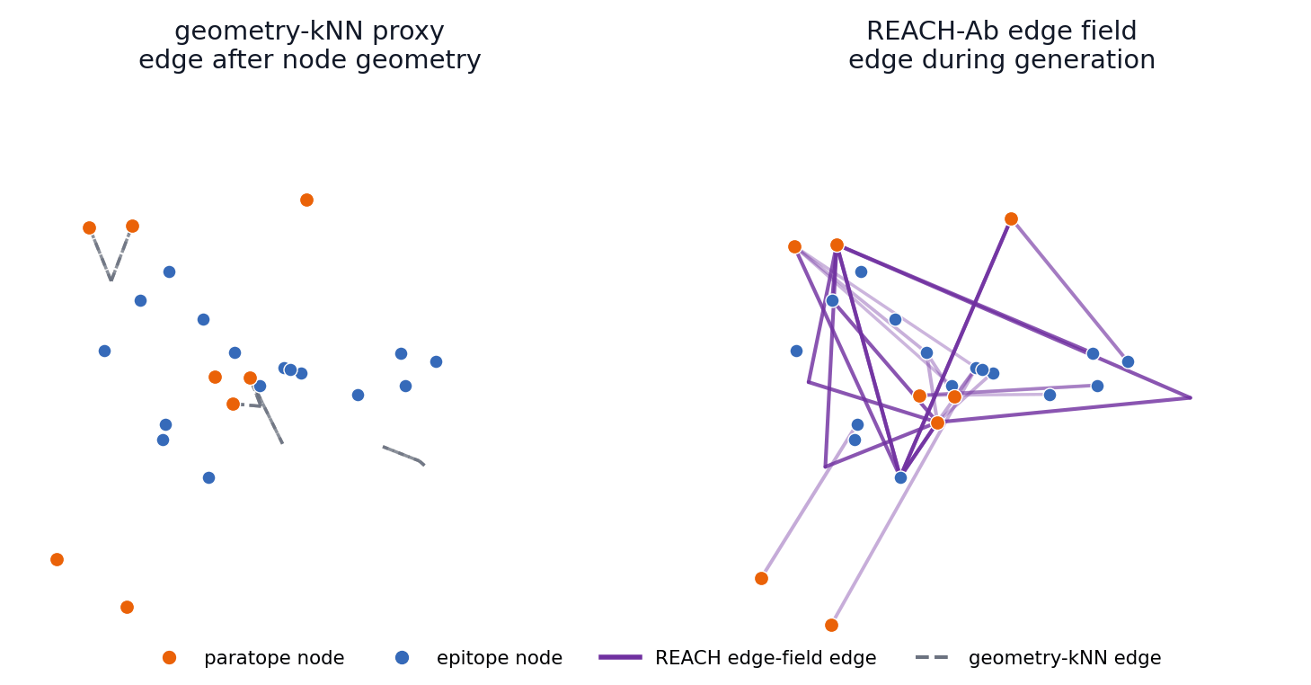 Animated comparison of geometry-kNN proxy edges and REACH-Ab edge-field edges for 4FQJ